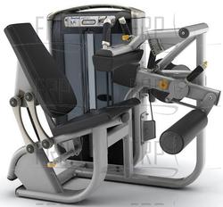 Seated Leg Curl - G7-S72 PY - Silver - Product Image