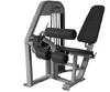 Seated Leg Curl - Product Image