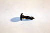 43000535 - SCREW, ROUND-TAPPING PHILLIP M4X12L - Product Image