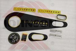 LIVESTRONG-E-SERIES DECAL SET - Product Image