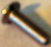 Screw