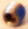 Screw, Set