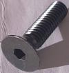 Screw