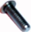 Cover screw