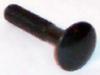 Product Image Screw