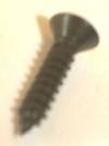 Screw