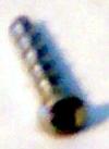Screw
