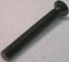 Screw