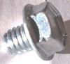 Screw