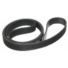 Belt, Drive, Ribbed - Product Image