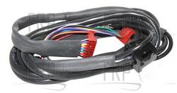 Wire harness, Upper, 75" - Product Image