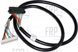 ASSY, CABLE, MAIN I/O, LWR, S-RB - Product Image
