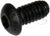 5024810 - Buttonhead Screw - Product Image