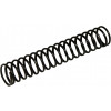 62004081 - Spring - Product Image
