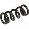 38000734 - Spring - Product Image