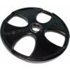 Weight Plate, 45LB - Product Image