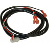 6001380 - Wire harness - Product Image
