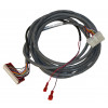 3002336 - Wire Harness, Console - Product Image
