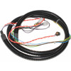 3011787 - Wire harness, Lower - Product Image