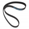 Belt, Drive Flexonic - Product Image