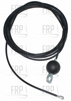 Cable, Low Back - Product Image
