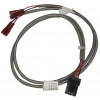 3002611 - CBL ASSY ELECTRODES LC - Product Image
