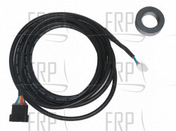 Harness, Wire, Main - Product Image