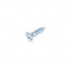 62007592 - Phillips screw 10mm - Product Image