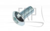62017441 - Screw - Product Image