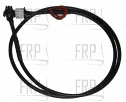 Wire harness, 2 pin, Lower - Product Image