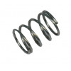 38013083 - Spring - Product Image