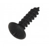 62015907 - TP4x16mm Screw (Black) - Product Image