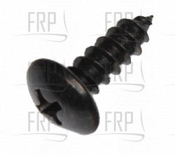 Truss Philips Self Tapping Screw 4x12 - Product Image