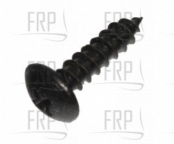 Truss Philips Self-tapping Screw 4x16 - Product Image