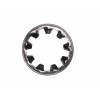 62028082 - Washer, Toothed - Product Image