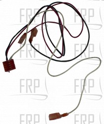 Wire Harness 20