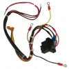 3000924 - Wire Harness - Product Image