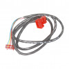 6092167 - Wire Harness - Product Image