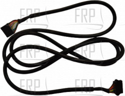 Wire Harness, Lower - Product Image Wire Harness, Lower - Product Image