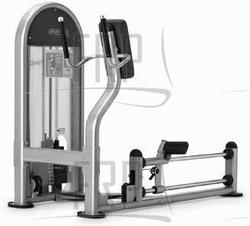 Glute Machine - 9IN-S1012-01BSS - (IN-Sxxxxxxx) - Image Glute Machine - 9IN-S1012-01BSS - (IN-Sxxxxxxx) - Image