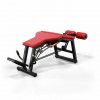 A300 Leg Curl Pro - 1232 - 
