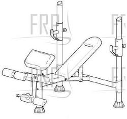 830 Olympic Curl - PFBE1900.0 - Equipment Image 830 Olympic Curl - PFBE1900.0 - Equipment Image