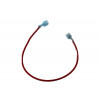 6036018 - 12" RED WIRE, M/F - Product Image