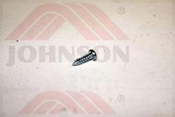 Screw;.3x10L - Product Image