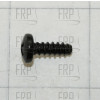 Screw, Shroud - 