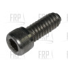 Screw - 