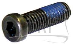 Screw - Product Image