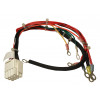 3001706 - Wire harness, Main - Product Image