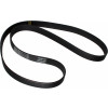 6050816 - Belt, Drive - Product Image