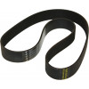 Belt, Drive, Primary, Flexonic - Product Image
